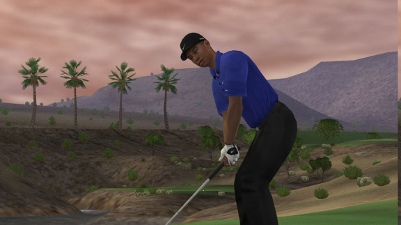 Tiger Woods PGA Tour 07 - Wii recenze
