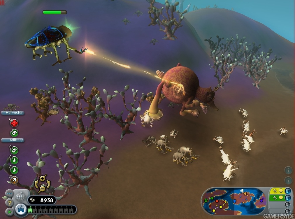 Spore