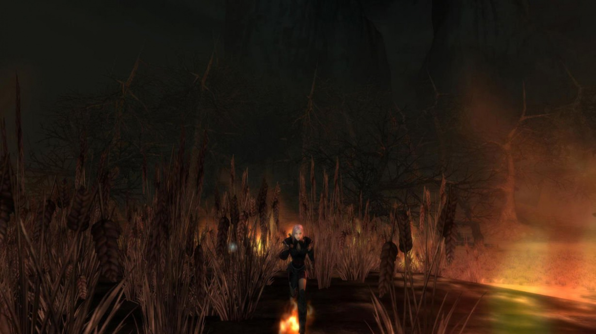 The Chronicles of Spellborn