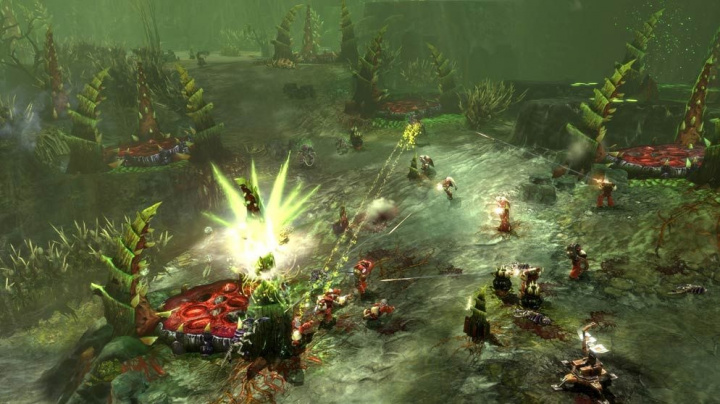 Oznámení betatestu Dawn of War 2