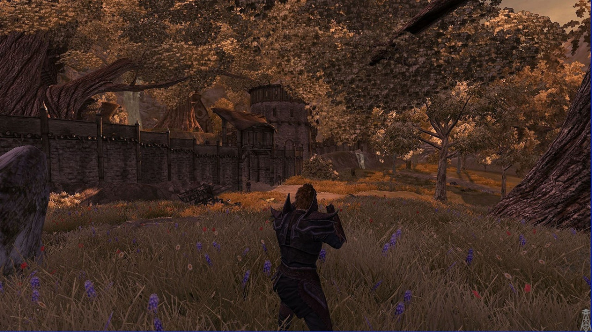 Hon za gobliním srdcem v Divinity 2