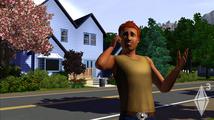 The Sims 3