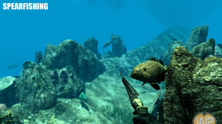Oznámení Spearfishing