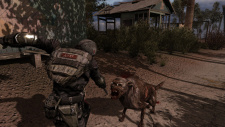 S.T.A.L.K.E.R.: Call of Pripyat