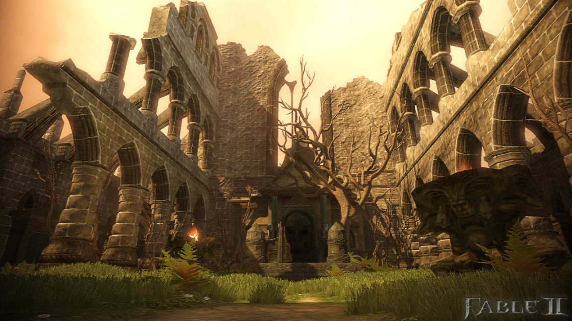 Druhý přídavek See the Future pro Fable 2