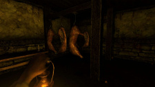 Amnesia: The Dark Descent
