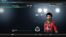 PES 2011
