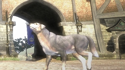 Pořiďte si nového psa do Fable III