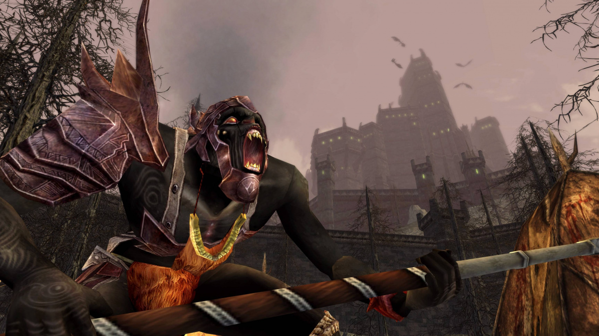 Lord of the Rings Online: Siege of Mirkwood - recenze