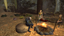 The Lord of the Rings Online: Siege of Mirkwood