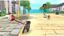 Nintendogs + cats