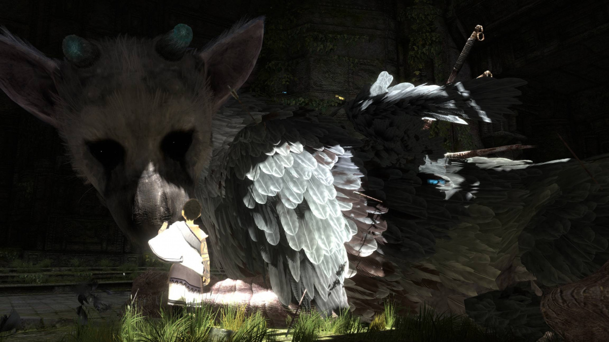 Sony zrušila Last Guardian? Kdepak, jen chyba v systému