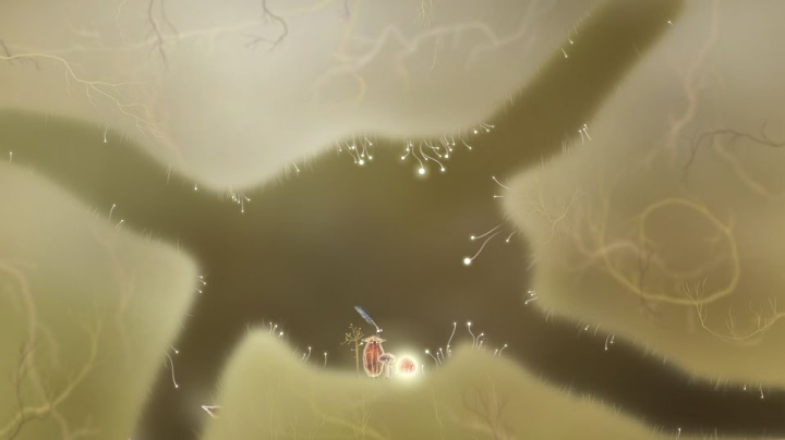 Botanicula