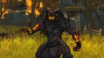 Guild Wars 2