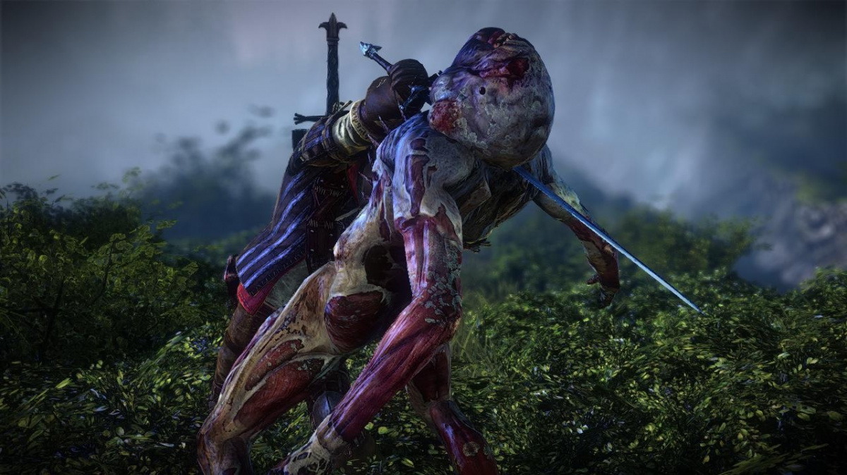 Slovní tance CDP okolo možného rozšíření pro Zaklínač 2