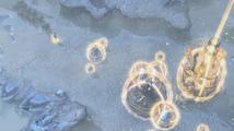 StarCraft II: Heart of the Swarm