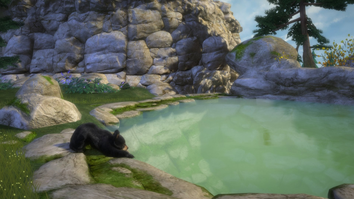 Kinectimals with Bears!