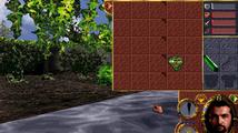 Lands of Lore: Guardians of Destiny