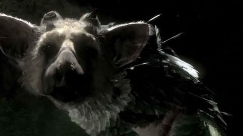 Sony ztrácí dalšího vývojáře Last Guardian