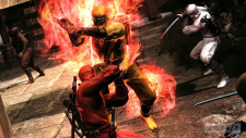 Ninja Gaiden 3