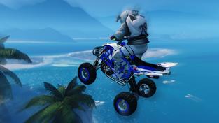 Mad Riders