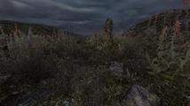 Dear Esther