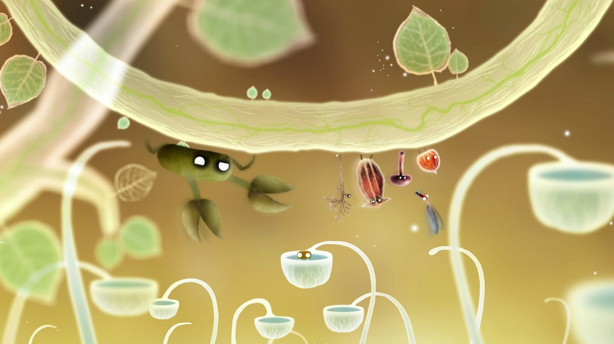 Zaplaťte za Botaniculu kolik chcete