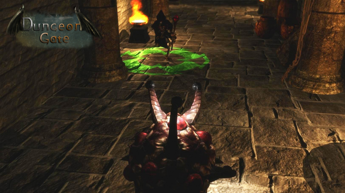 Dungeon Gate: v hlavní roli měňavec