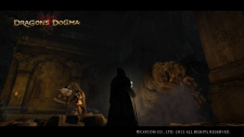 Dragon’s Dogma