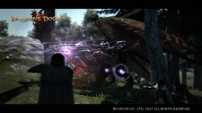 Dragon’s Dogma