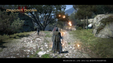 Dragon’s Dogma