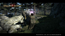 Dragon’s Dogma
