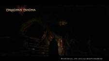Dragon’s Dogma