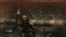 Wizardry Online
