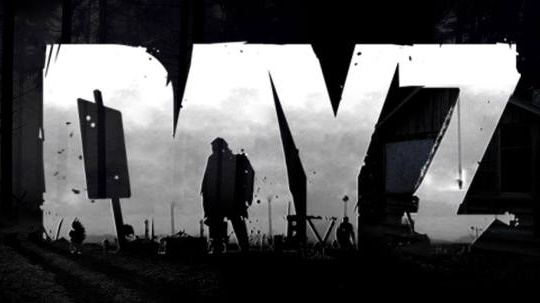 I DayZ, mod pro Arma II, byl napaden hackerem