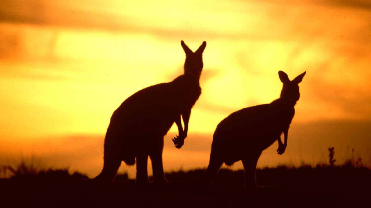 18+ hry konečně mohou i do Austrálie