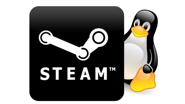 Dle Newella je Windows 8 katastrofa, Valve sází  na Linux