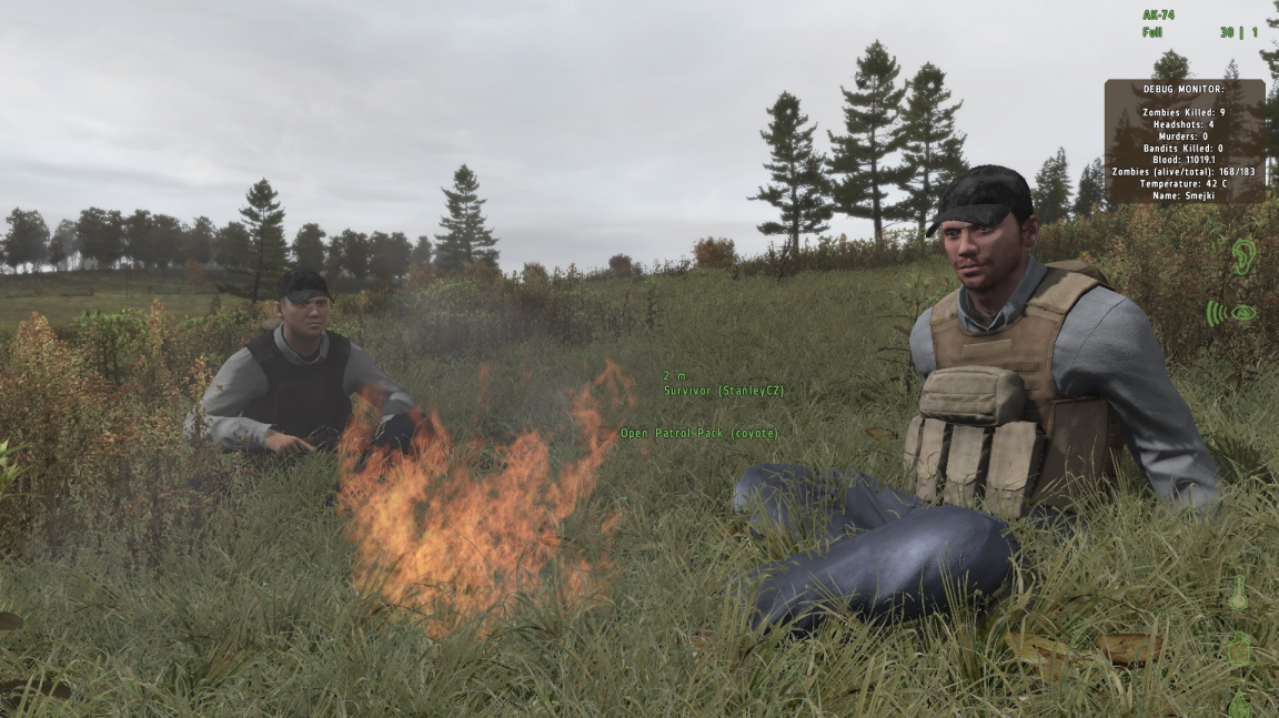 DayZ - Okem naivy (a s bonusem)