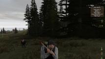 DayZ (ArmA II: Combined Operations modifikace)
