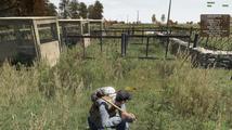 DayZ (ArmA II: Combined Operations modifikace)