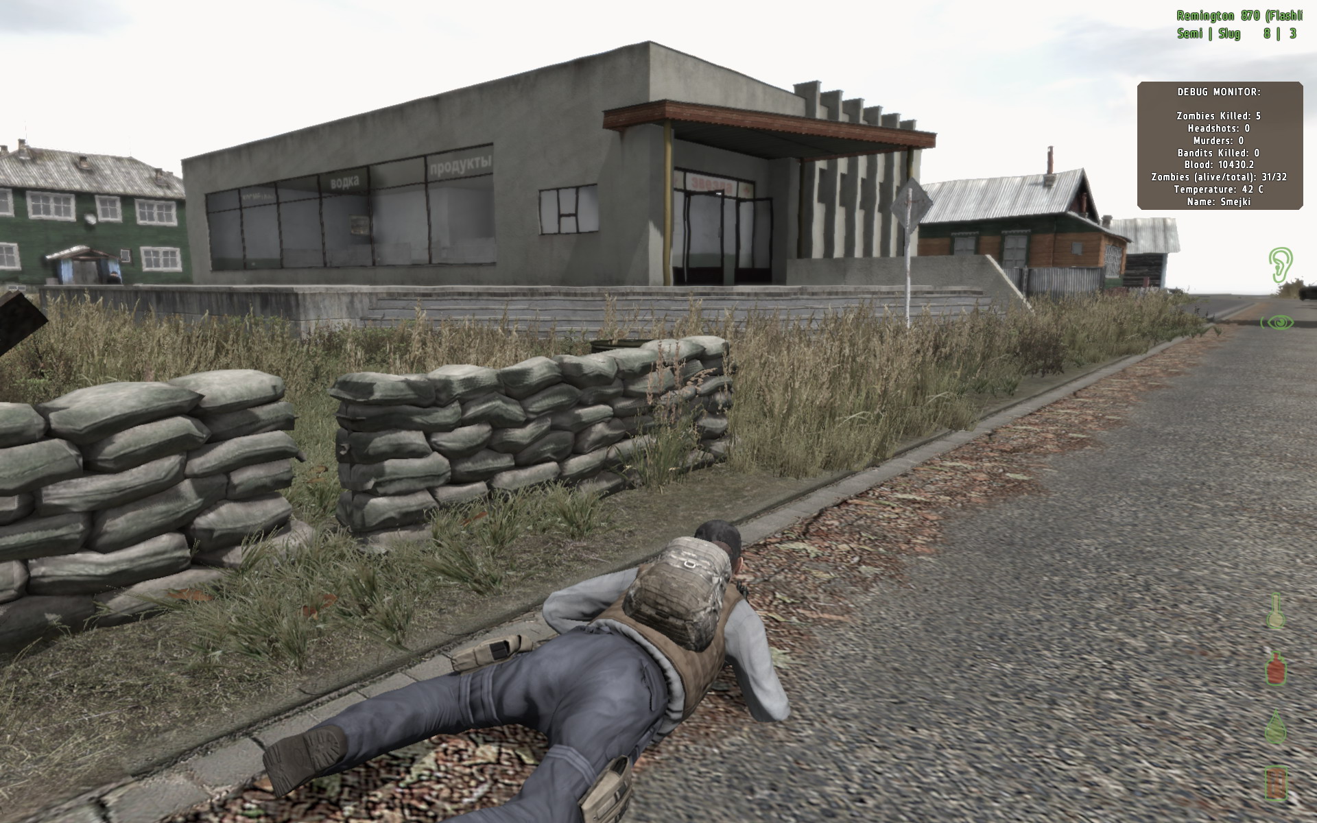 DayZ (ArmA II: Combined Operations modifikace)