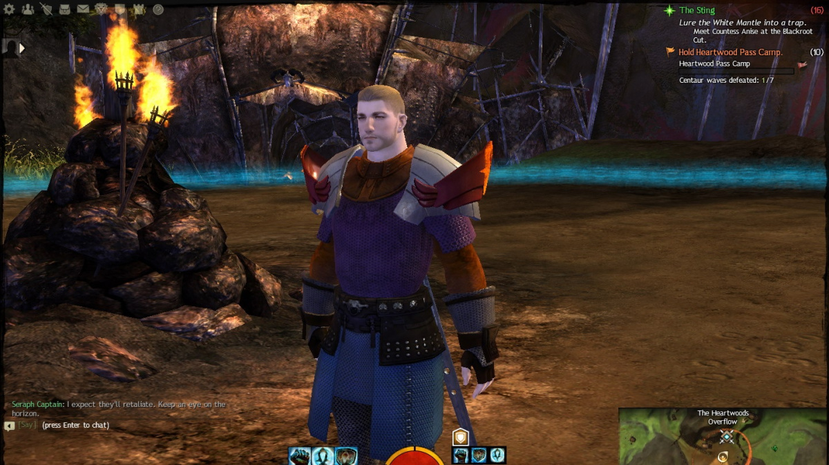 Guild Wars 2: Deník šampóna Karrulla #1