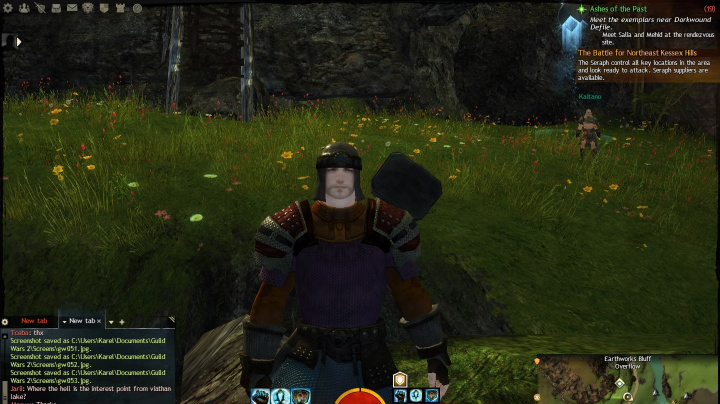 Guild Wars 2: Deník šampóna Karrulla #2