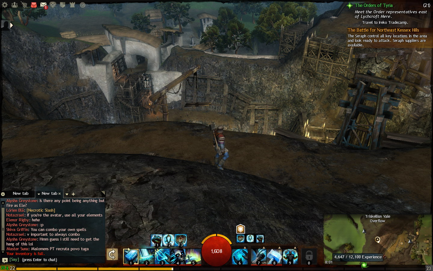 Guild Wars 2
