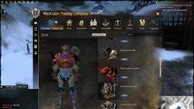 Guild Wars 2