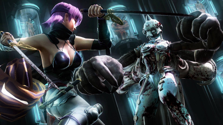 Chtěli byste další Ninja Gaiden? Jeho tvůrci taky, ale to zjevně nestačí