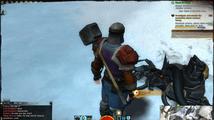 Guild Wars 2