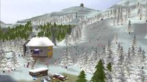 Ski Park Tycoon