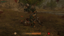 War of the Roses