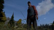 DayZ (standalone)